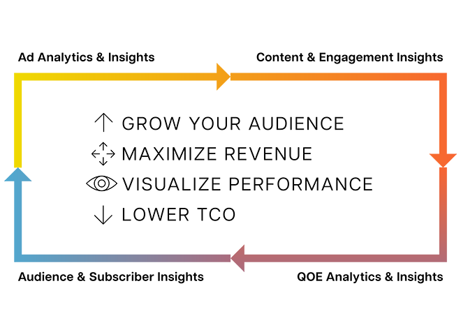 Audience Insight flow chart.